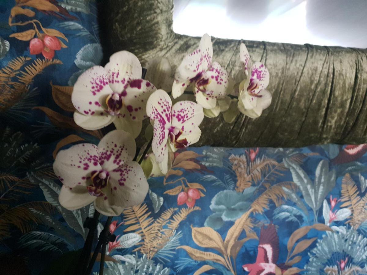 Jasmine Coral Jay Boutique Boatel Ocean Village Gibilterra Esterno foto