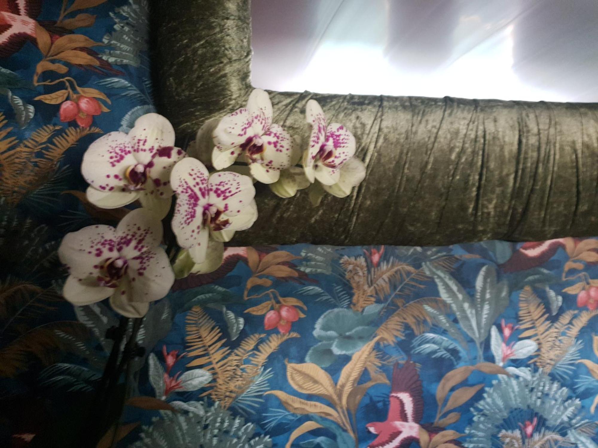 Jasmine Coral Jay Boutique Boatel Ocean Village Gibilterra Camera foto
